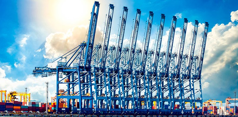Cranes-9